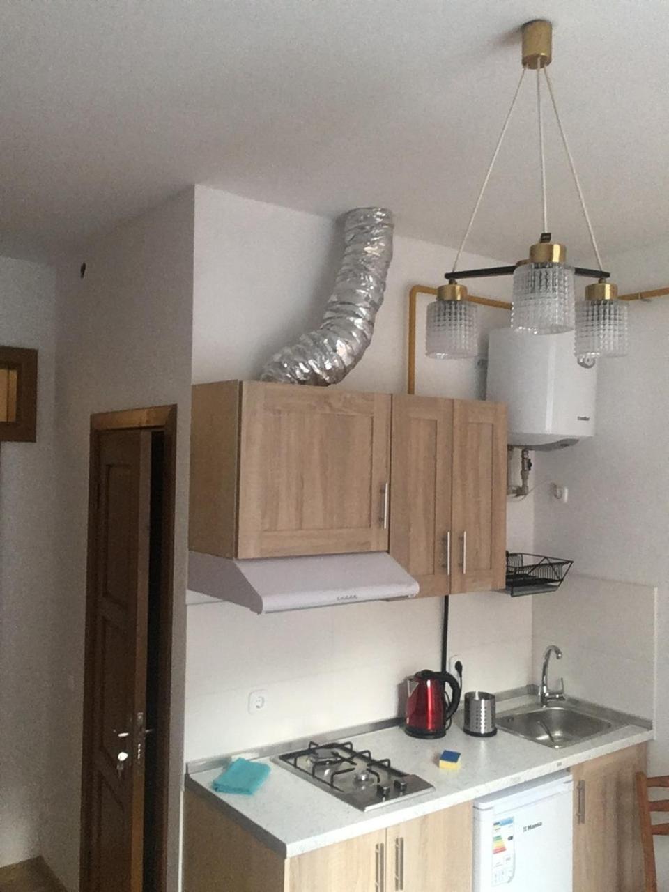 Apartaments In Karpaty Mizhhirya  Экстерьер фото