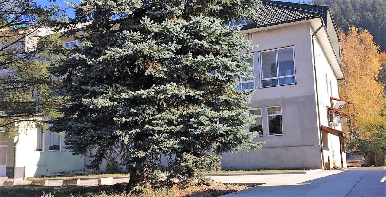 Apartaments In Karpaty Mizhhirya  Экстерьер фото